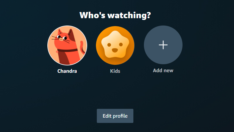 Página de perfil Quién sigue con el avatar del titular de la cuenta, un avatar infantil y un botón para agregar más