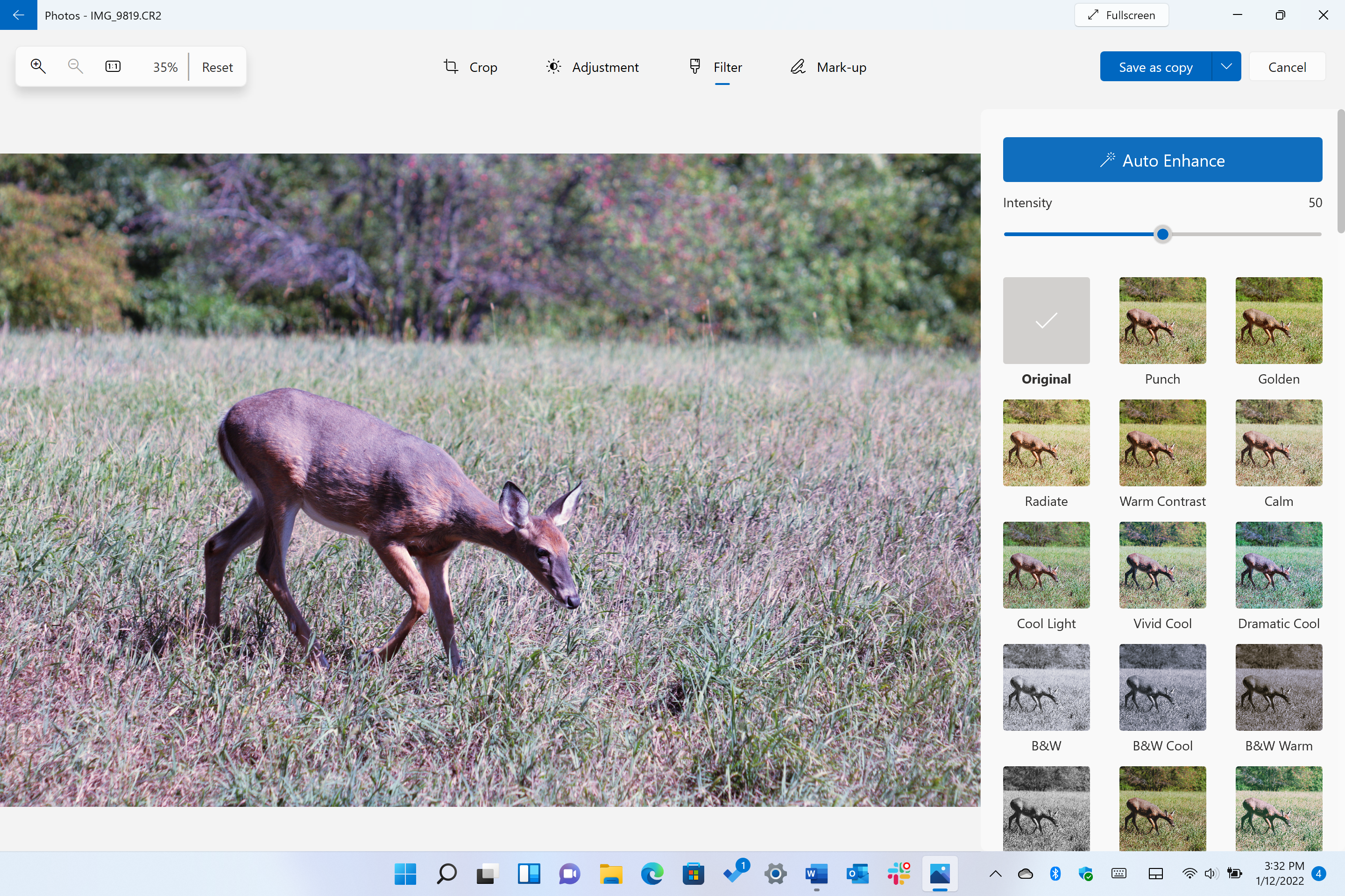 La aplicación Fotos incluye una selección razonable de filtros junto con buenas mejoras automáticas.