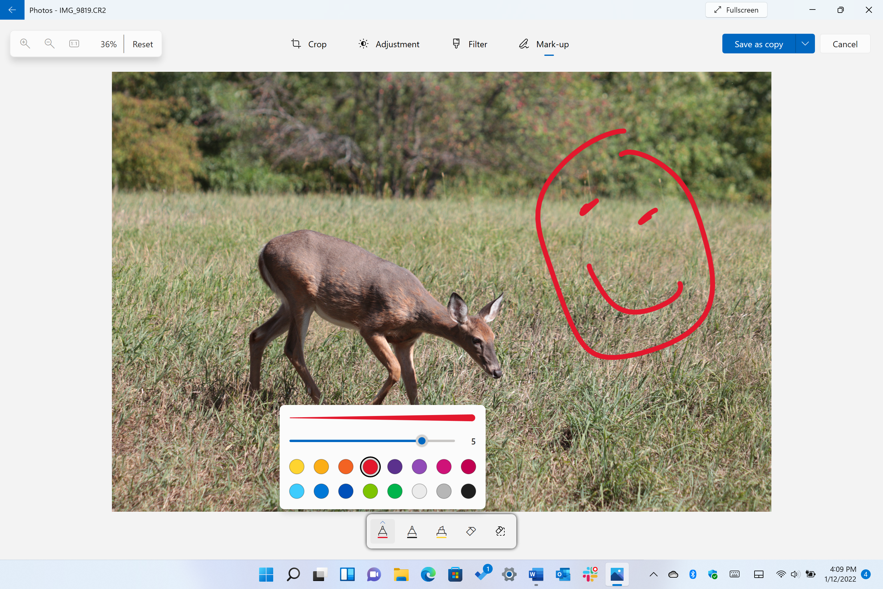 En la sección Fotos, puede usar varias herramientas de dibujo para elegir el color y el grosor de la punta.