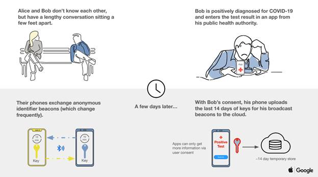 Ilustración que muestra cómo funciona la aplicación de rastreo de contactos (Imagen: Google y Apple)