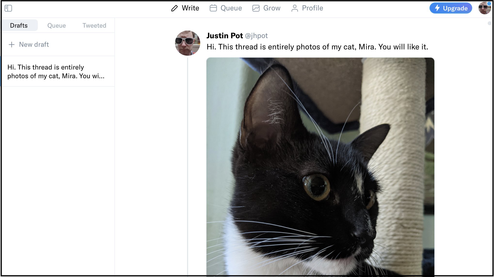 Por lo general, se usa para ver tweets en un hilo sobre un gato llamado Mira