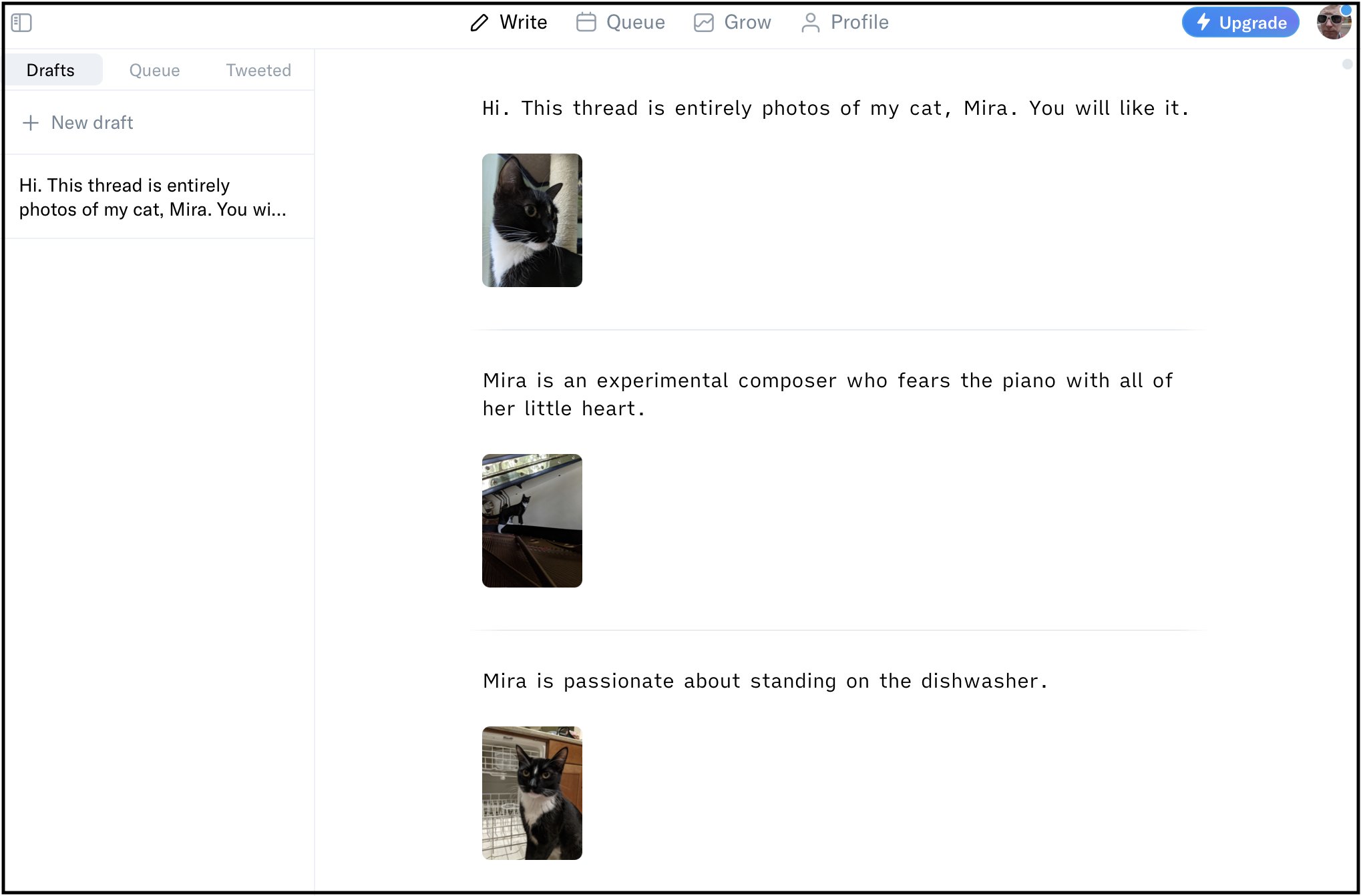 La aplicación web normalmente se usa para escribir un hilo de Twitter con tres tweets sobre un gato.